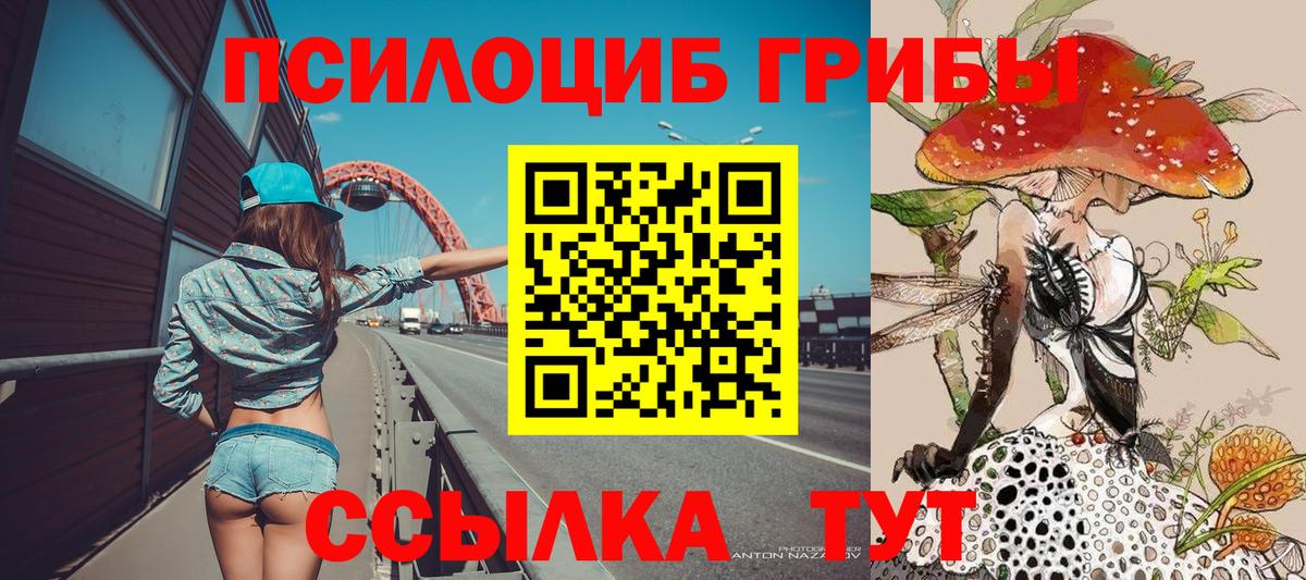 Галлюциногенные грибы мицелий  Вход с VPN  Гатчина  Псилоцибиновые грибы Magic Shrooms 