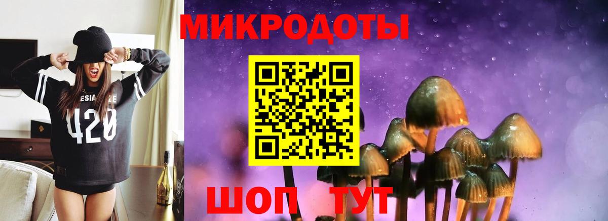 Псилоцибиновые грибы Cubensis Гатчина